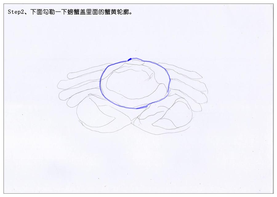 彩色铅笔画之手绘美食大闸蟹