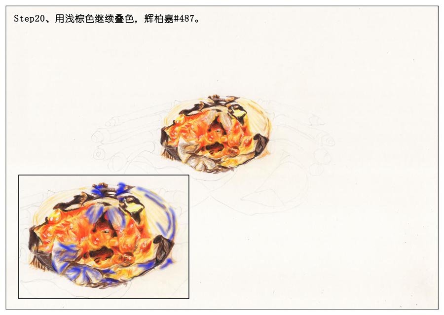 彩色铅笔画之手绘美食大闸蟹