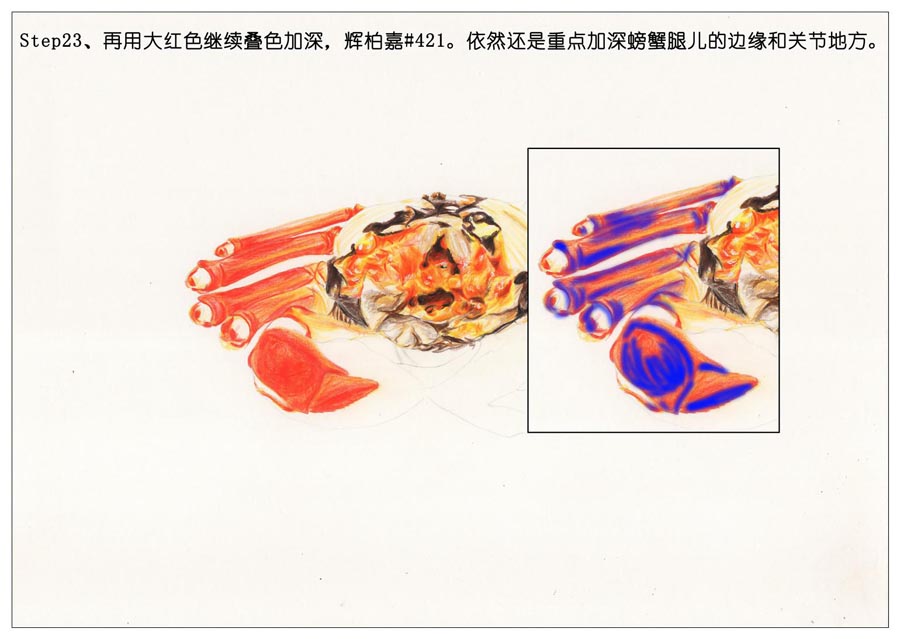 彩色铅笔画之手绘美食大闸蟹