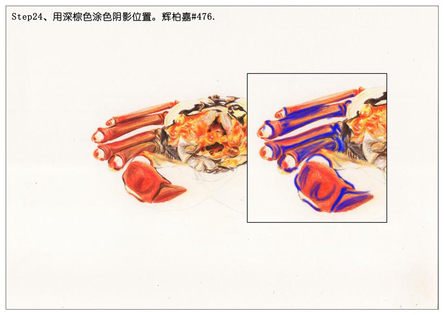 彩色铅笔画之手绘美食大闸蟹