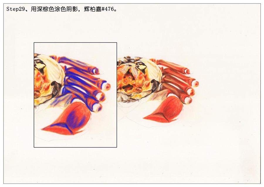 彩色铅笔画之手绘美食大闸蟹