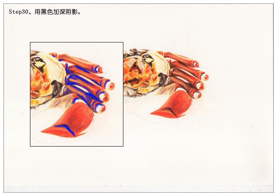 彩色铅笔画之手绘美食大闸蟹