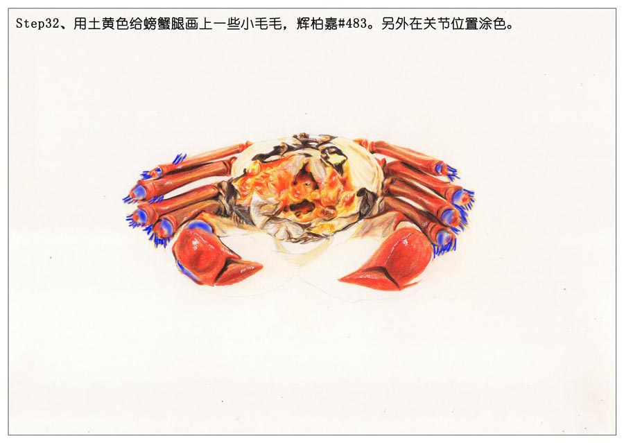 彩色铅笔画之手绘美食大闸蟹