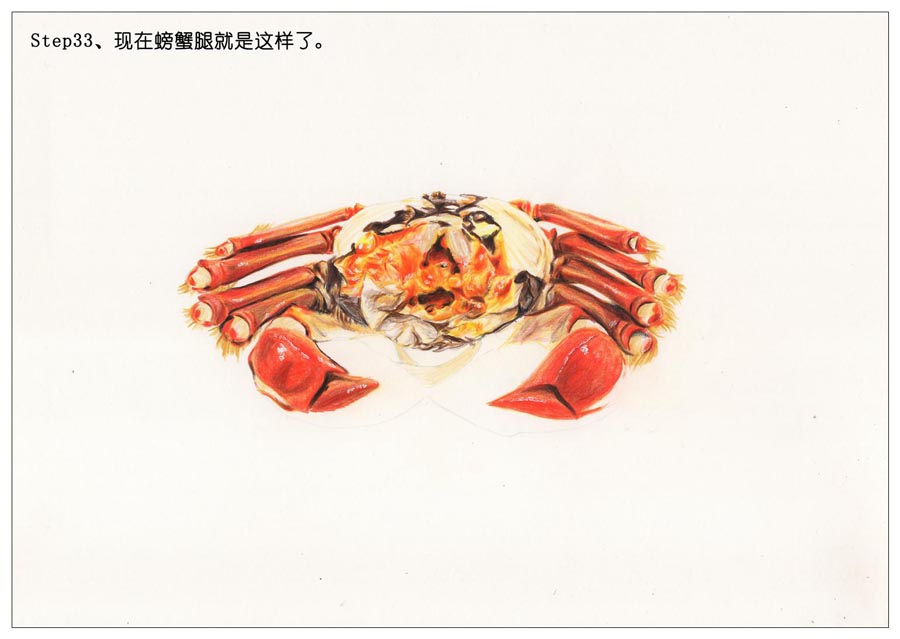 彩色铅笔画之手绘美食大闸蟹