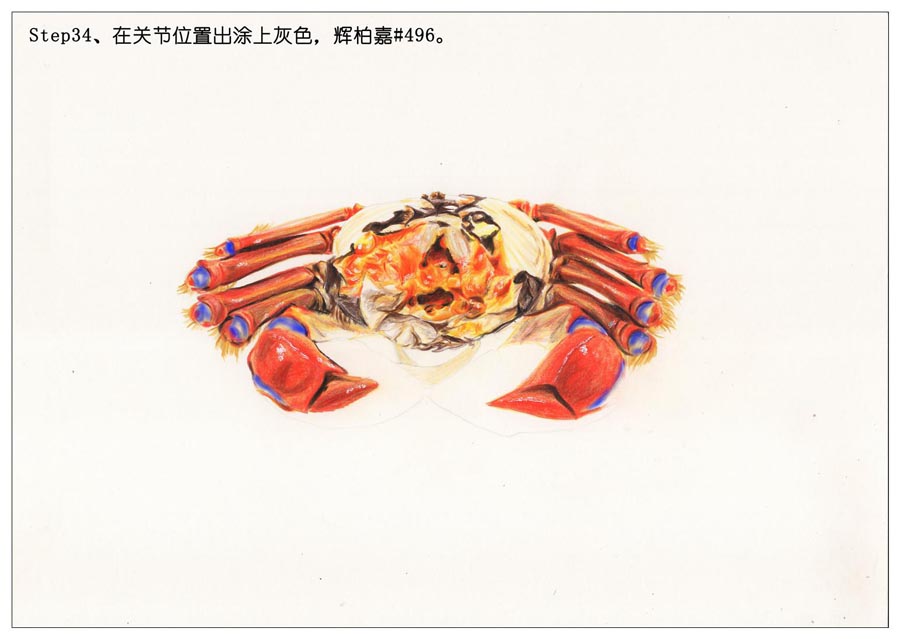 彩色铅笔画之手绘美食大闸蟹