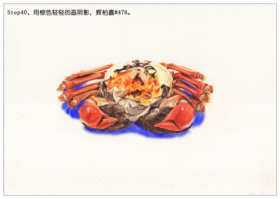 彩色铅笔画之手绘美食大闸蟹