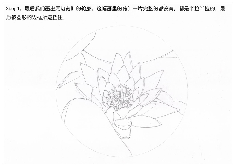 彩色铅笔画之鲜艳荷花荷叶