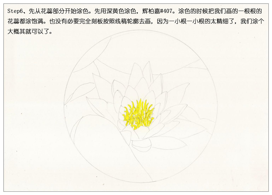 彩色铅笔画之鲜艳荷花荷叶