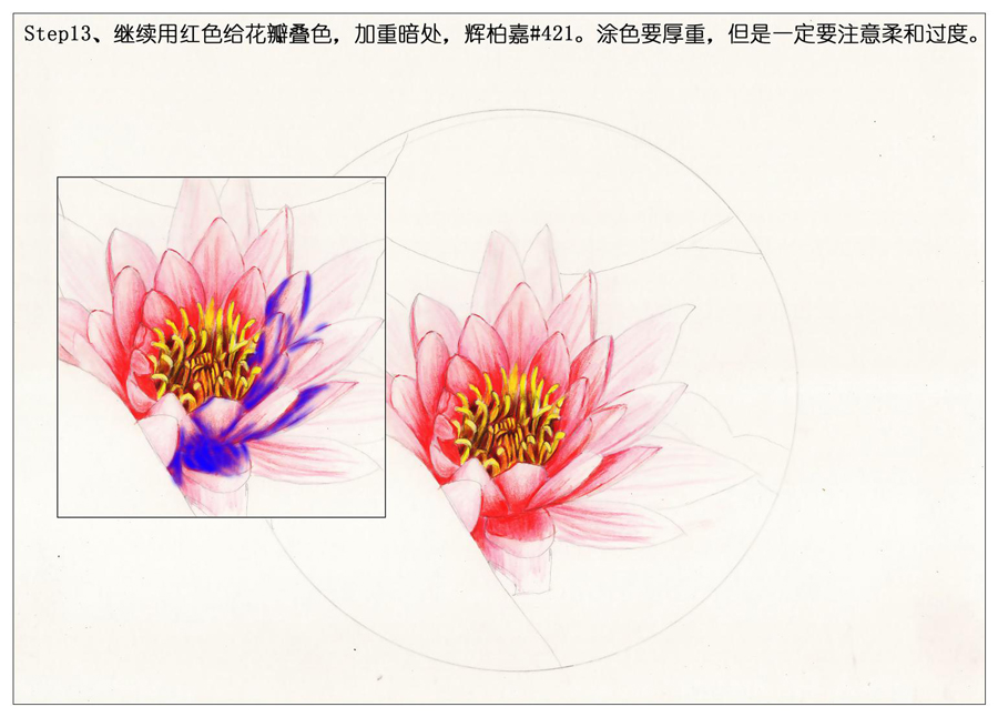 彩色铅笔画之鲜艳荷花荷叶