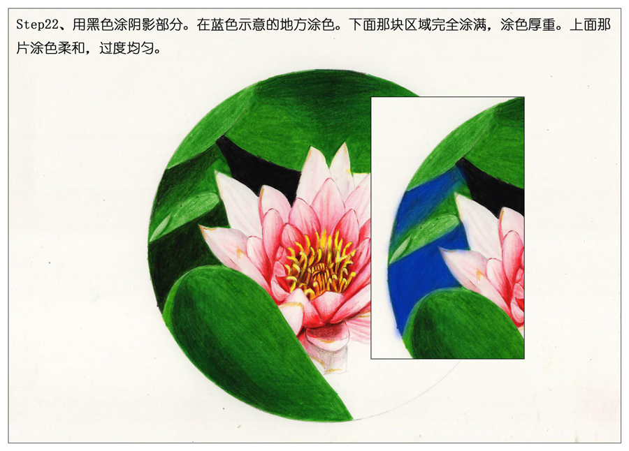 彩色铅笔画之鲜艳荷花荷叶