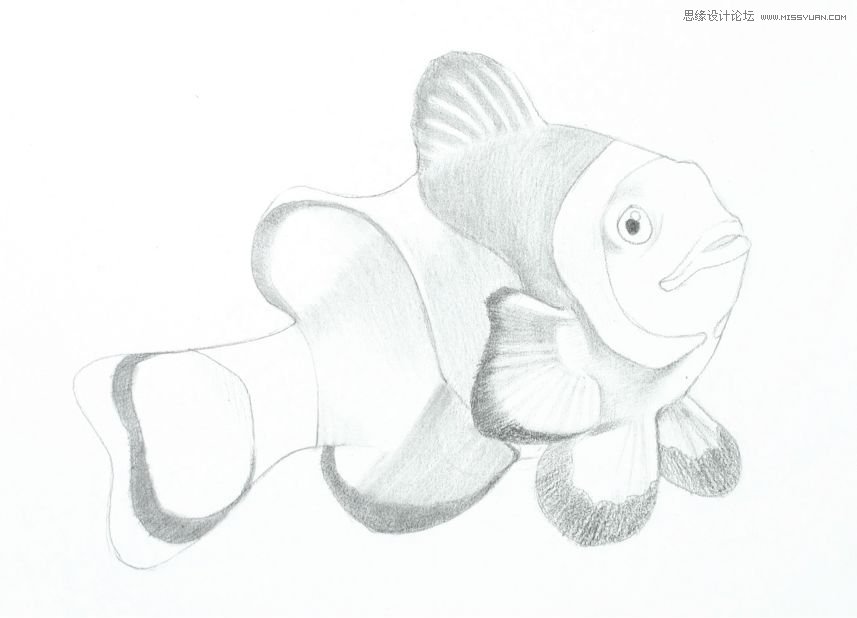 详解彩色铅笔画之小丑鱼的画法