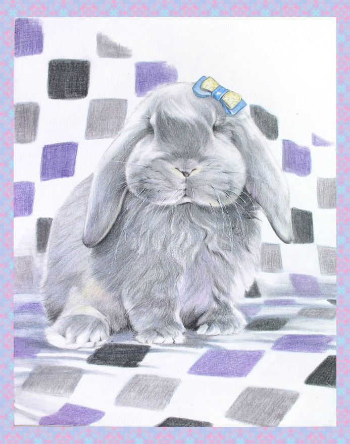 详解彩色铅笔画之垂耳兔的画法