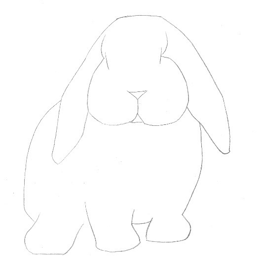 详解彩色铅笔画之垂耳兔的画法