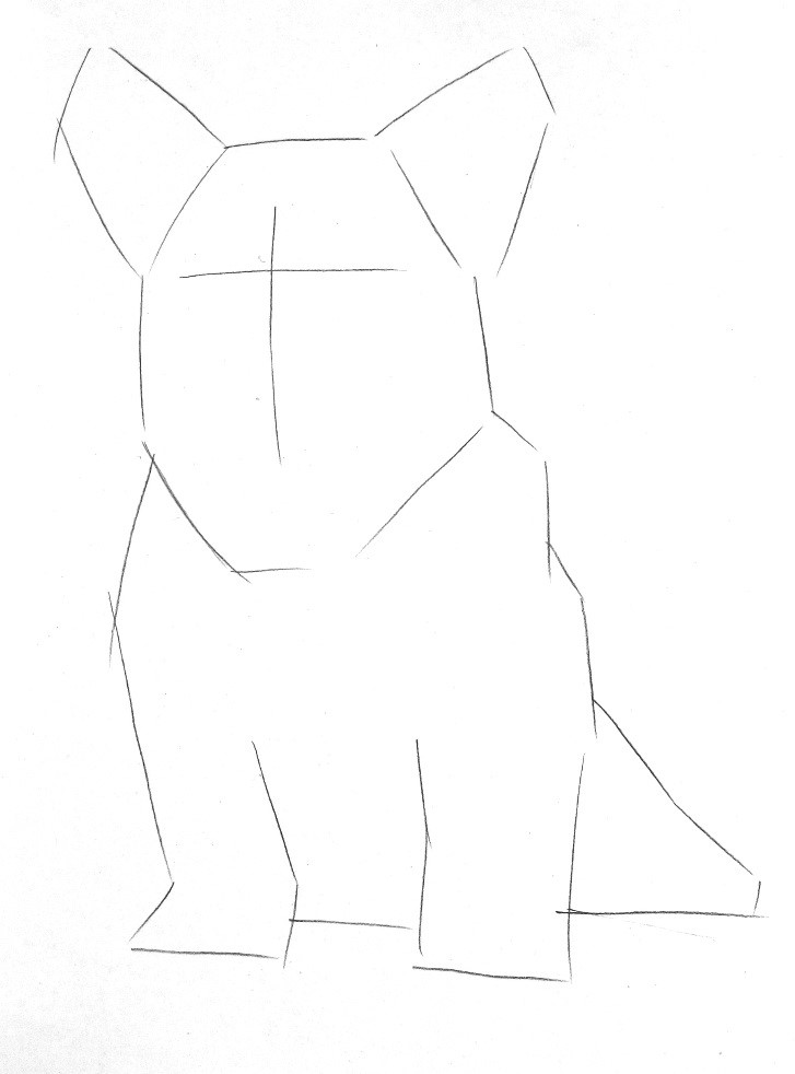 详细解析彩色铅笔画柯基犬的画法