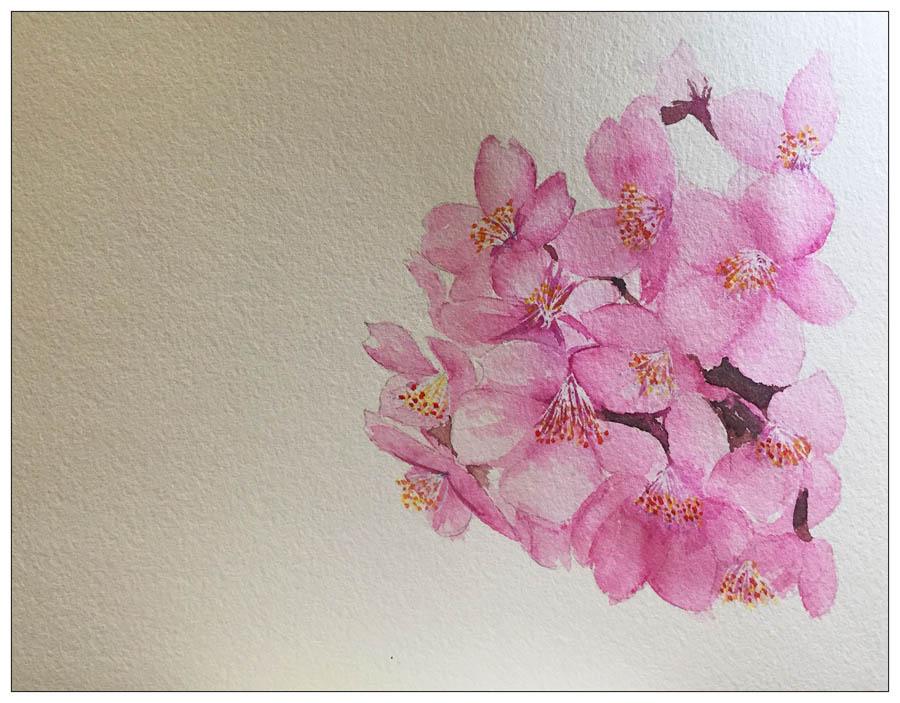 详解绘制水彩风格的樱花作品教程