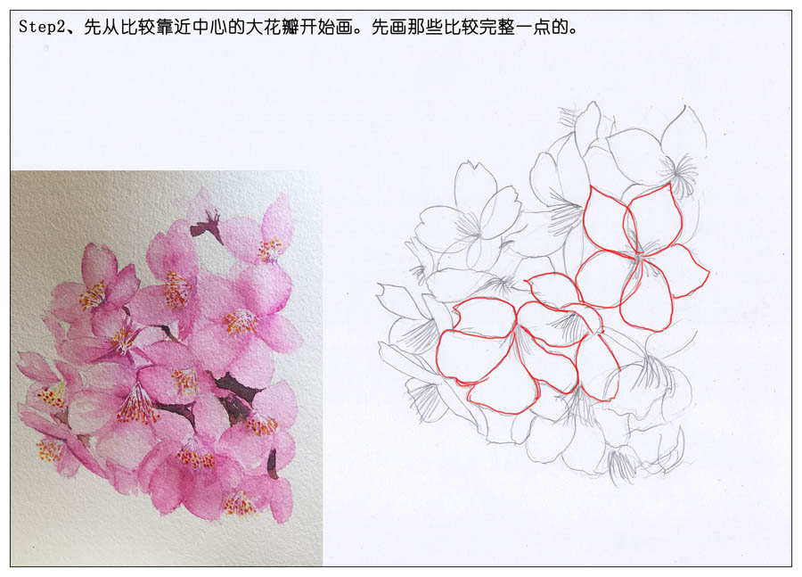 绘制水彩风格的樱花作品