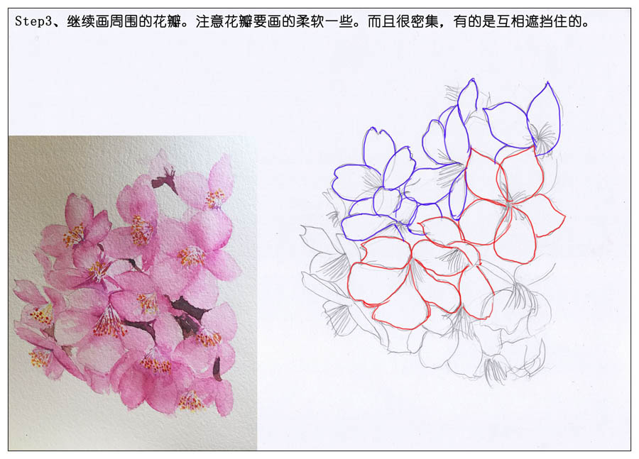 绘制水彩风格的樱花作品