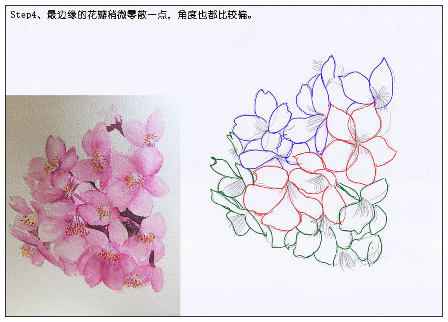 绘制水彩风格的樱花作品