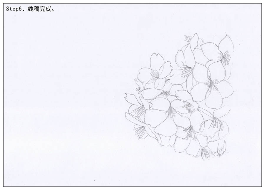 绘制水彩风格的樱花作品