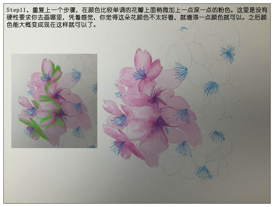 绘制水彩风格的樱花作品