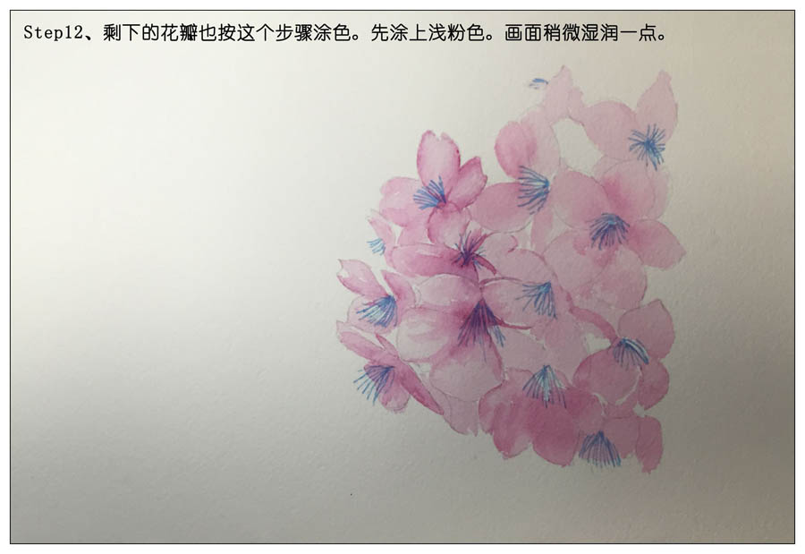 绘制水彩风格的樱花作品