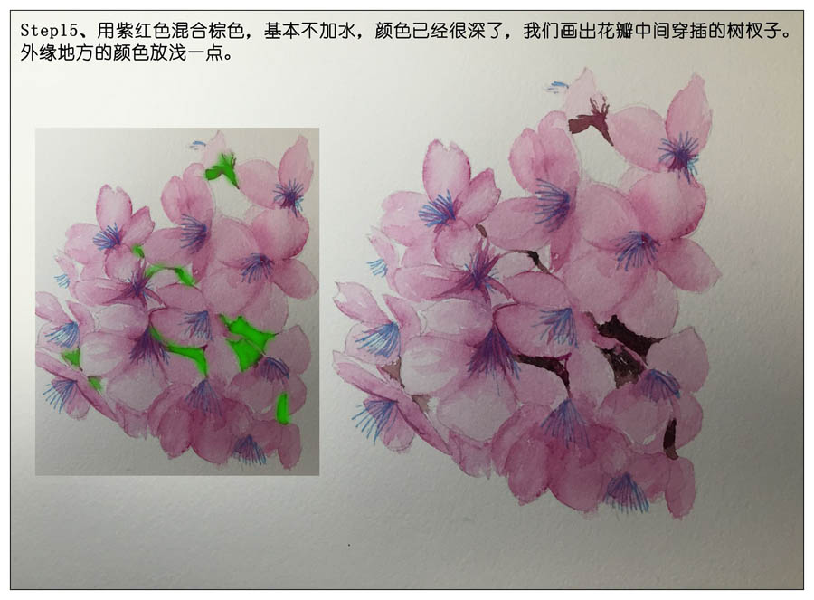 绘制水彩风格的樱花作品