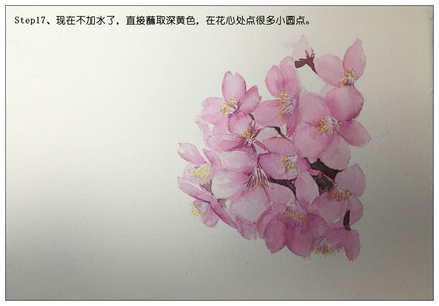绘制水彩风格的樱花作品