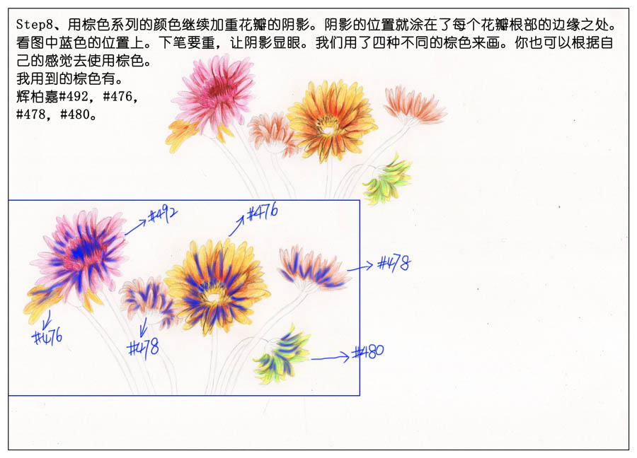 手绘玻璃瓶和唯美插画作品
