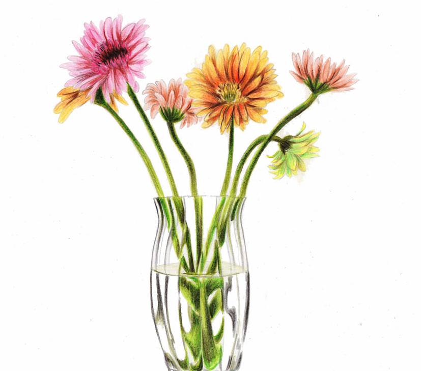 详解手绘玻璃瓶和唯美插画作品教程