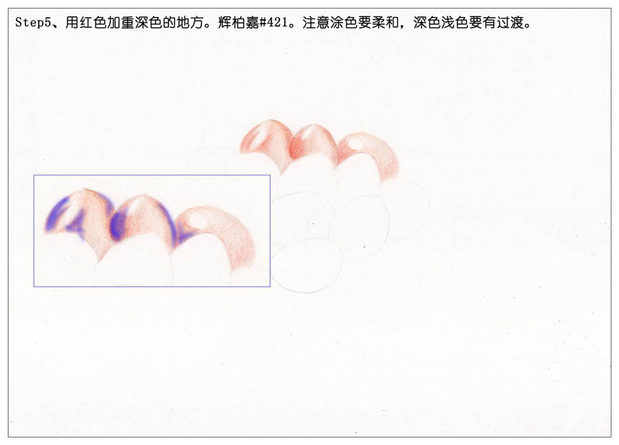 手绘多肉玉露彩铅绘画教程