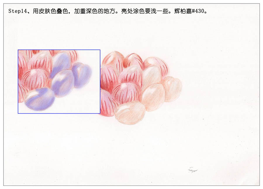 手绘多肉玉露彩铅绘画教程
