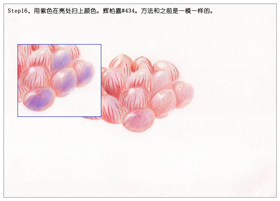 手绘多肉玉露彩铅绘画教程