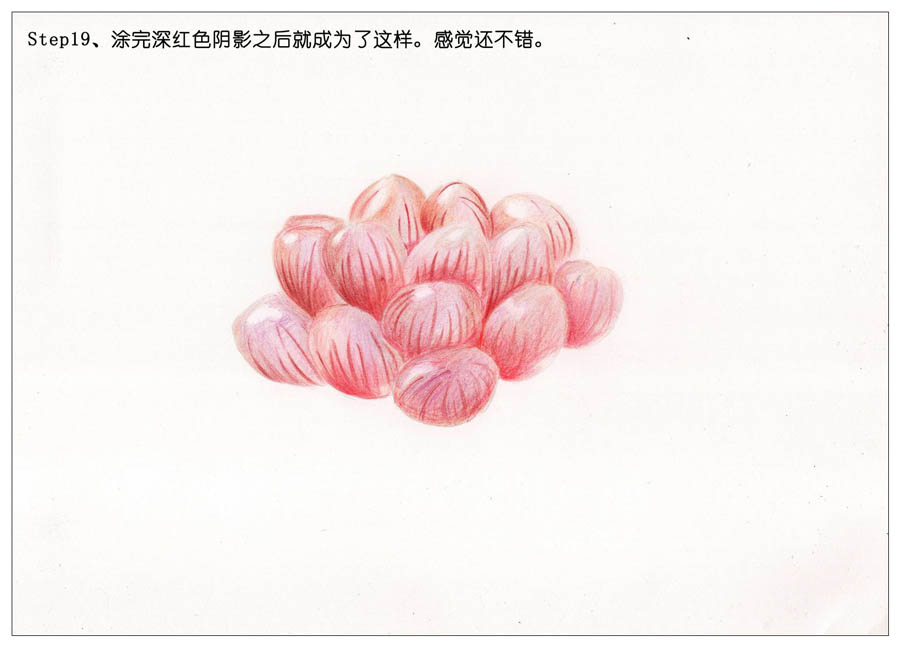 手绘多肉玉露彩铅绘画教程