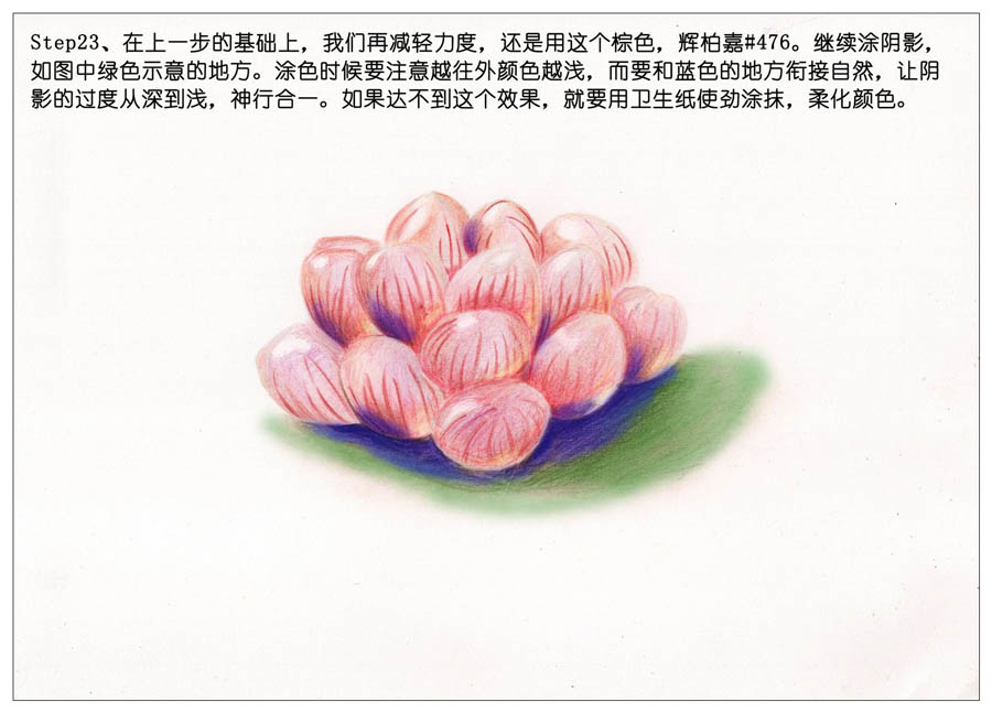手绘多肉玉露彩铅绘画教程
