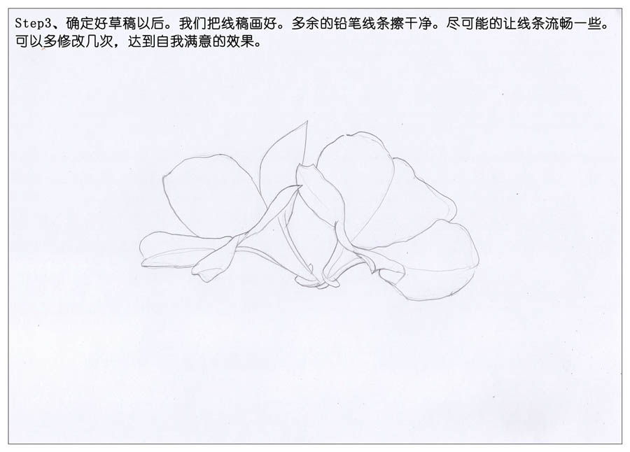 绘制唯美的杜鹃花彩铅教程