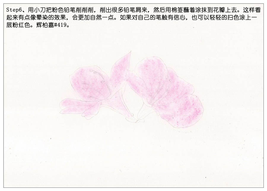 绘制唯美的杜鹃花彩铅教程