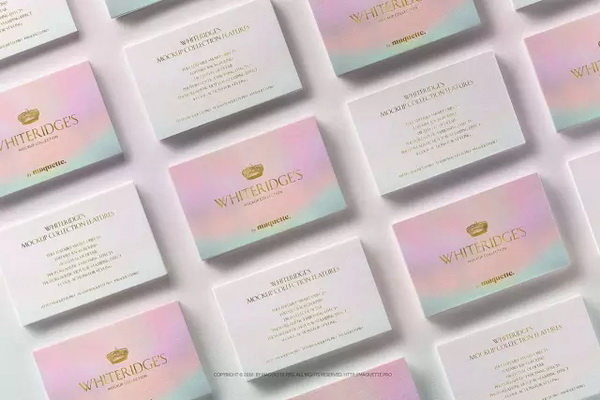 国外最新优秀时尚的名片设计欣赏