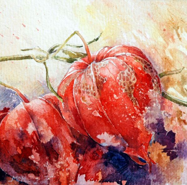 Marie Claire Moudru花卉绘画设计欣赏