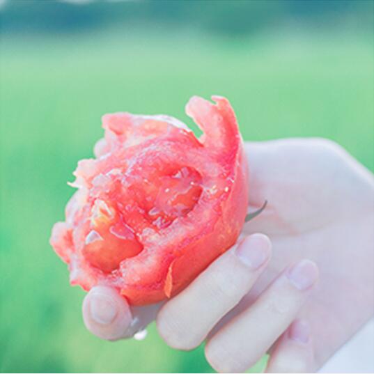 LR调出小清新风格的西红柿照片