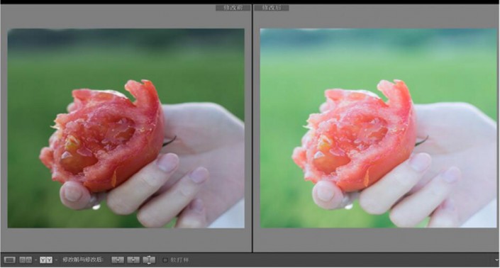 LR调出小清新风格的西红柿照片