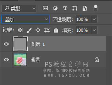 LR调出小清新风格的西红柿照片