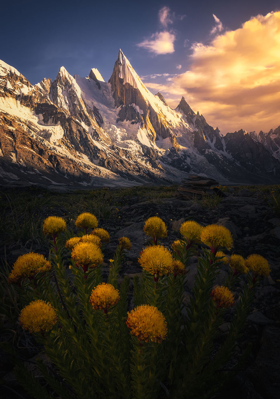 浅谈主色调和辅助色在摄影后期中的应用