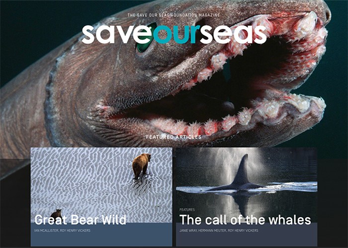 精选国外杂志风格网页设计欣赏