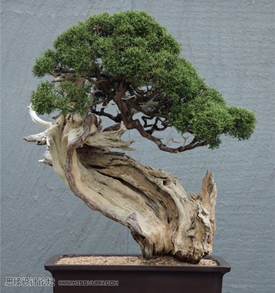 10条让你的作品更成功的技巧