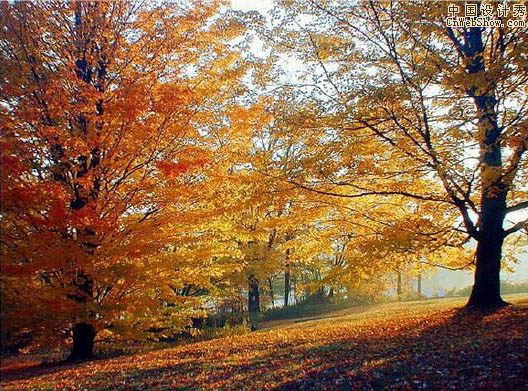 Photoshop把照片转成逼真艺术油画效果转手绘教程