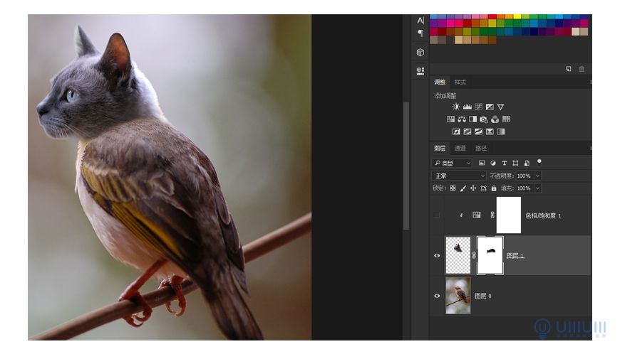 Photoshop创意的合成猫咪头像的猫头鹰