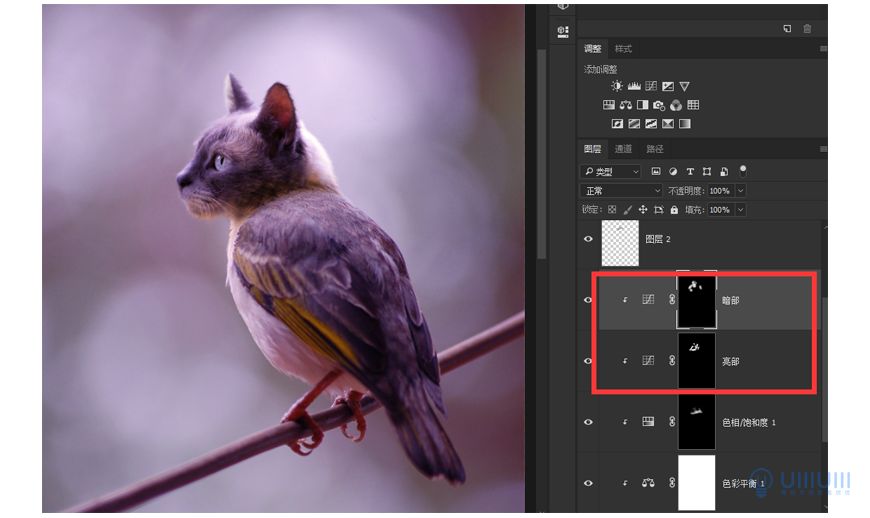 Photoshop创意的合成猫咪头像的猫头鹰