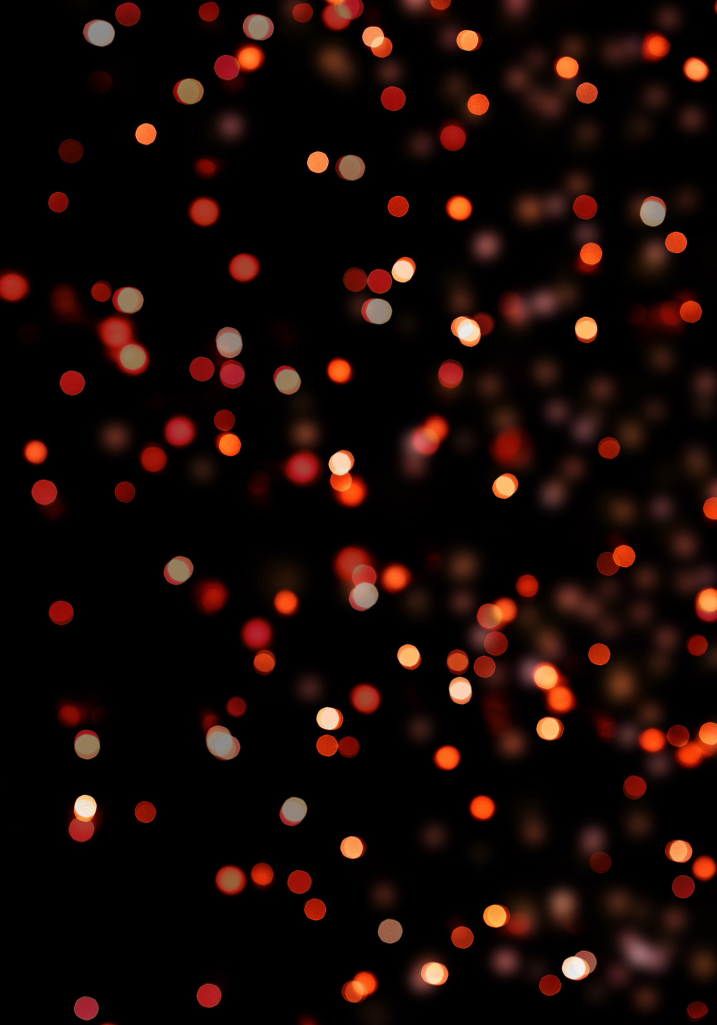 Photoshop创意的合成猫咪头像的猫头鹰