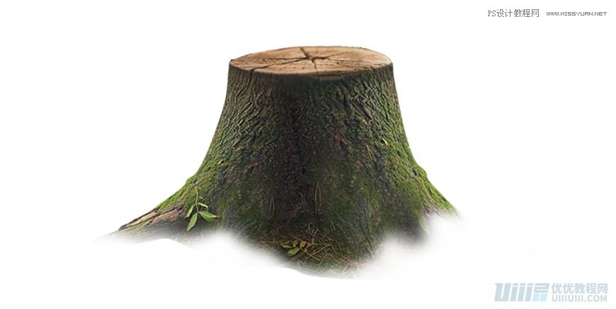 Photoshop合成森林中马灯下的小动物