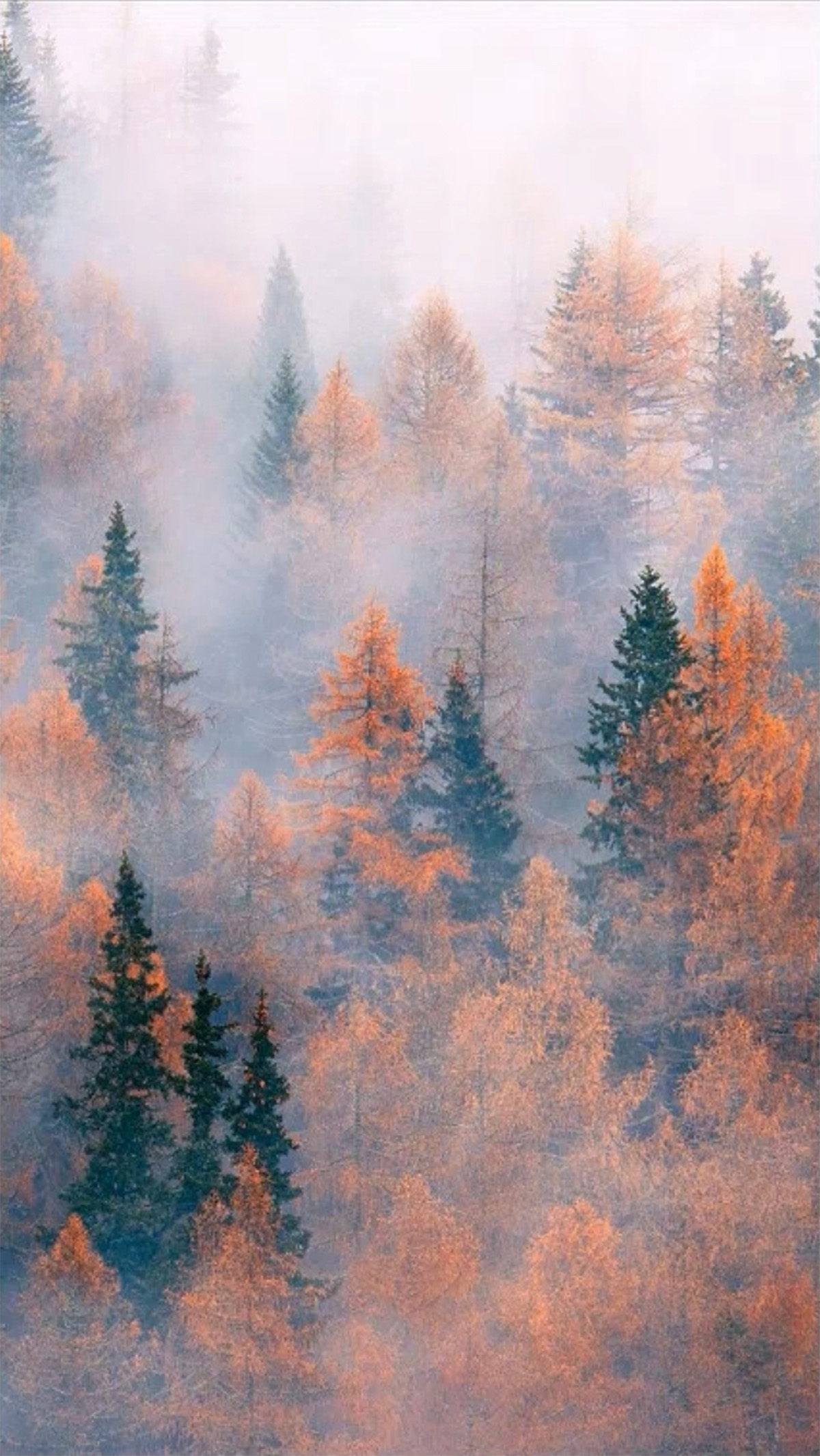 Photoshop创意合成人像二次曝光效果